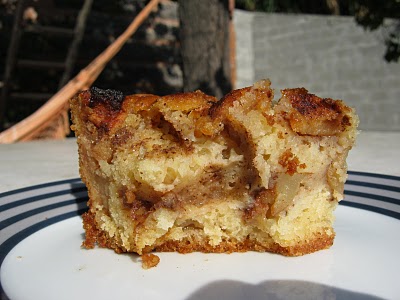 Apple Cinnamon Coffee Cake for Diabetics