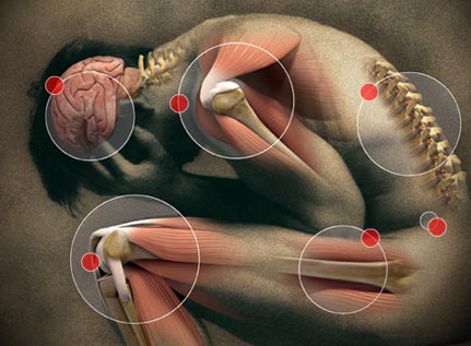 Learn about the 13 foods that fight pain
